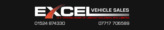 Excel Vehicle Sales
